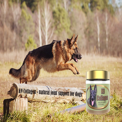 Healthy Dog - 4 Benefits of Dog Supplements For Joints Enriched Composed of Collagen